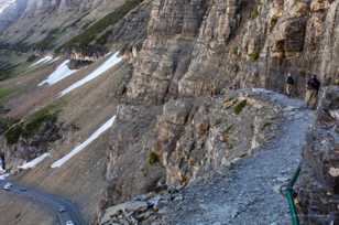 Logan Pass Trail-4224 2.jpg